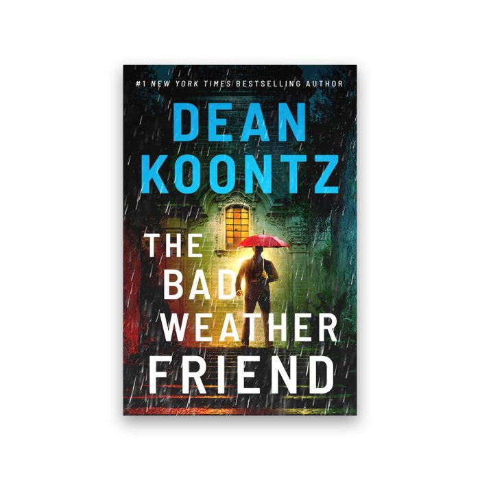 The Bad Weather Friend